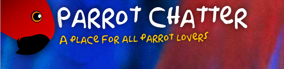 Join in the insanity which is Parrot Chatter !!
