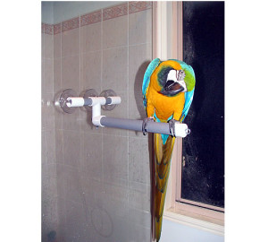 Shower perch